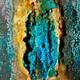 Illustration for article titled Surprisingly beautiful photographs of decaying cans of human remains